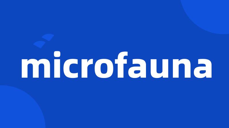 microfauna