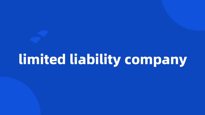 limited liability company