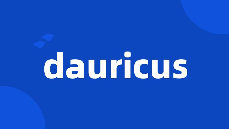 dauricus