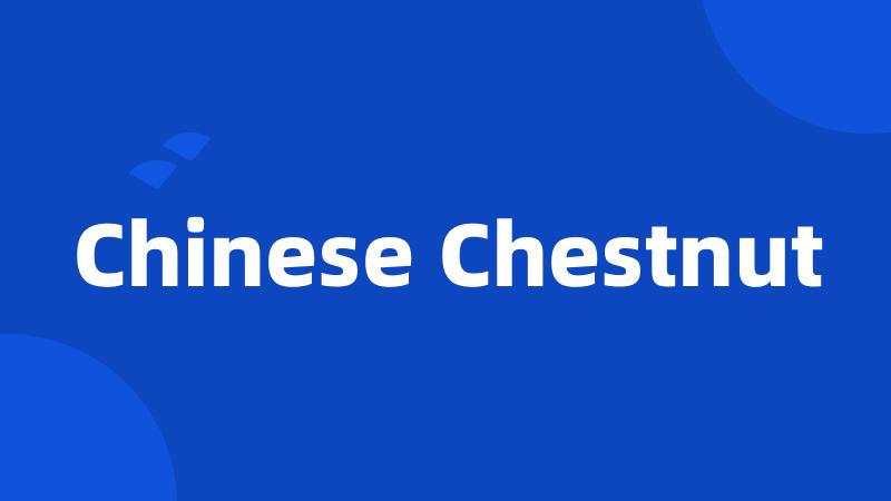 Chinese Chestnut