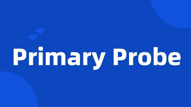 Primary Probe