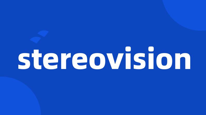 stereovision