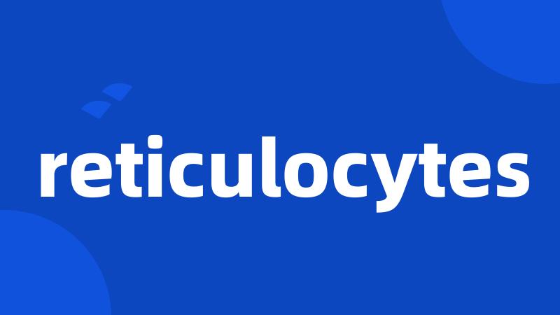 reticulocytes