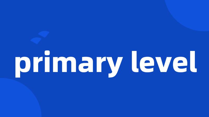 primary level