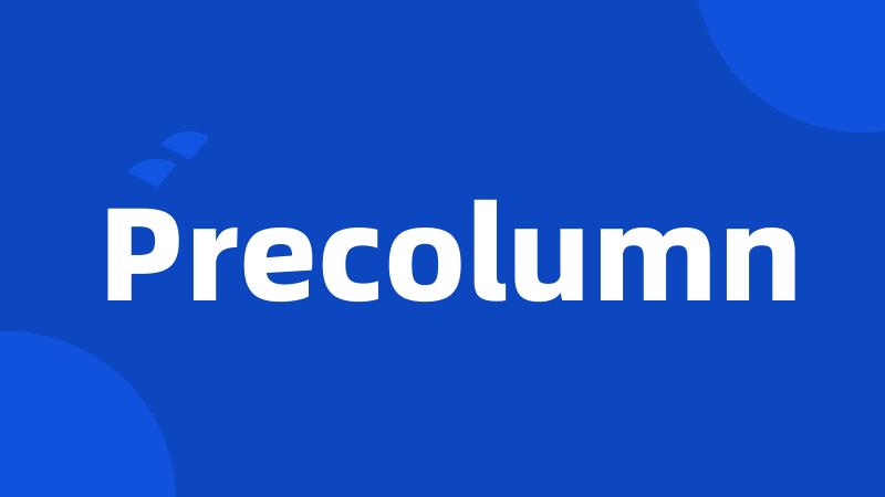 Precolumn