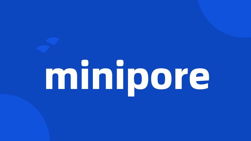 minipore