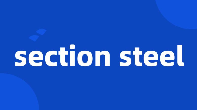 section steel