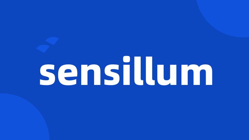 sensillum