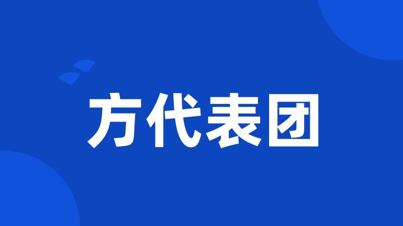 方代表团