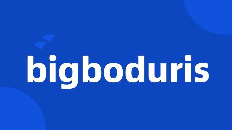 bigboduris