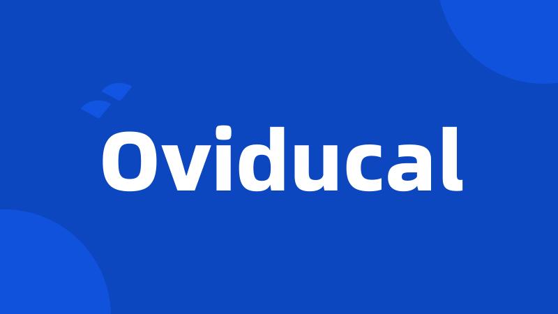 Oviducal