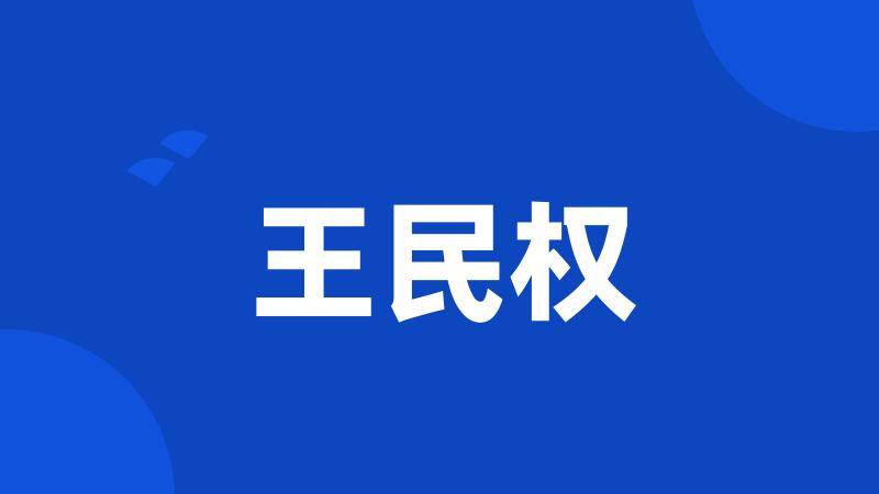 王民权