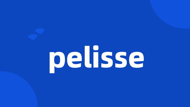 pelisse