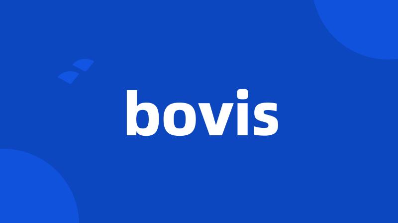 bovis