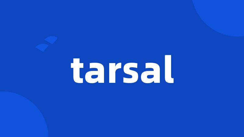 tarsal