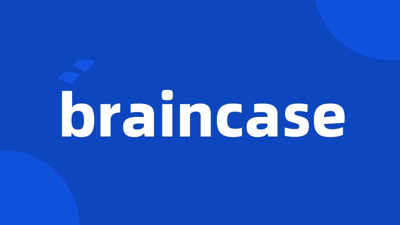 braincase