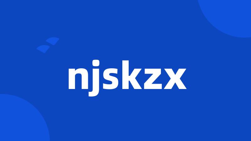 njskzx