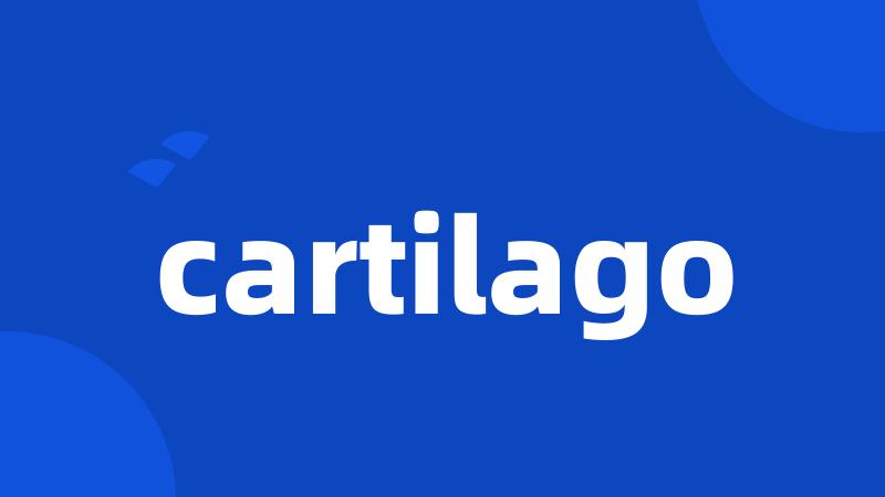 cartilago