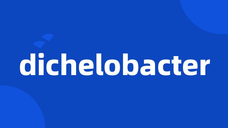 dichelobacter