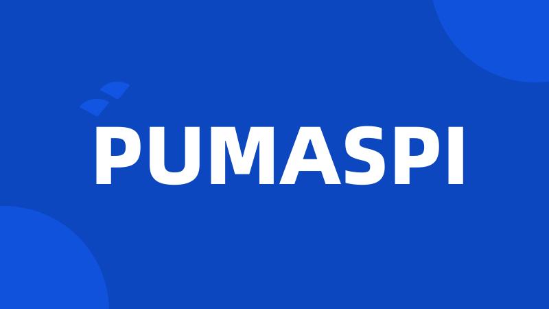 PUMASPI