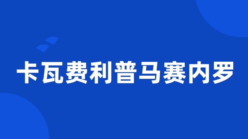 卡瓦费利普马赛内罗