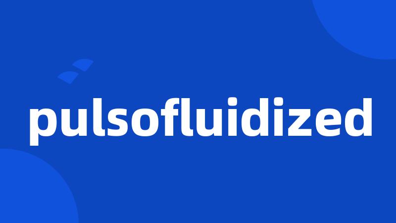 pulsofluidized