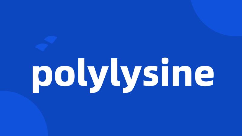 polylysine