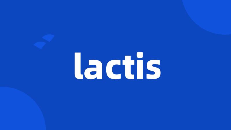 lactis