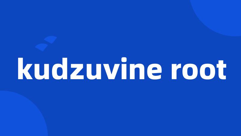 kudzuvine root