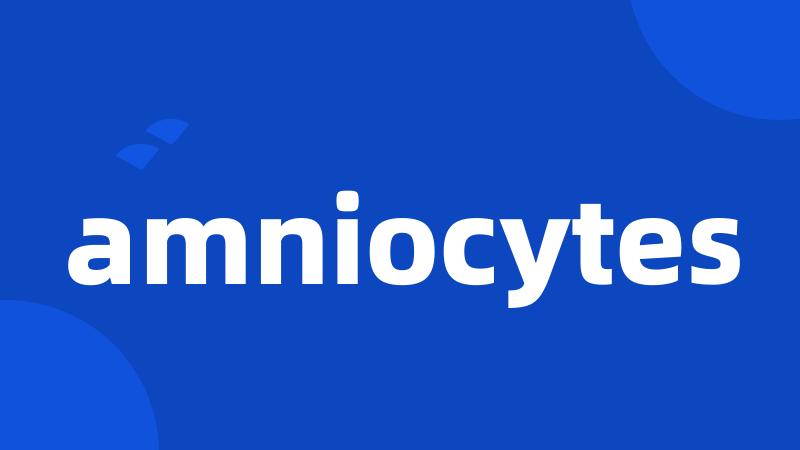 amniocytes