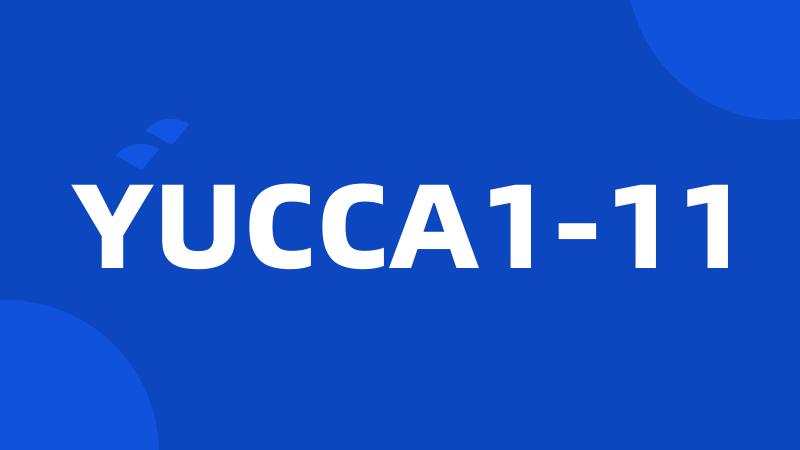 YUCCA1-11