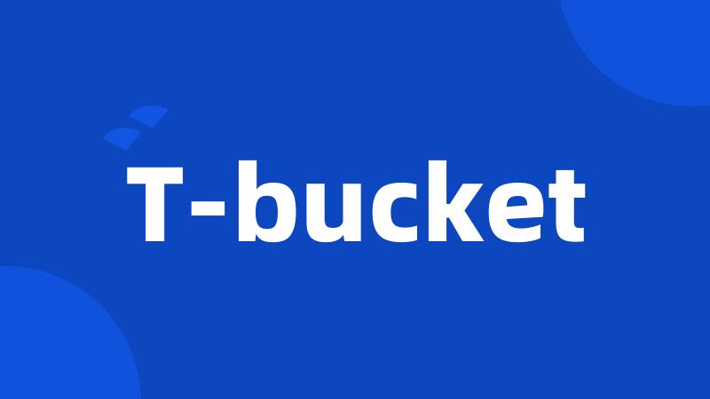 T-bucket