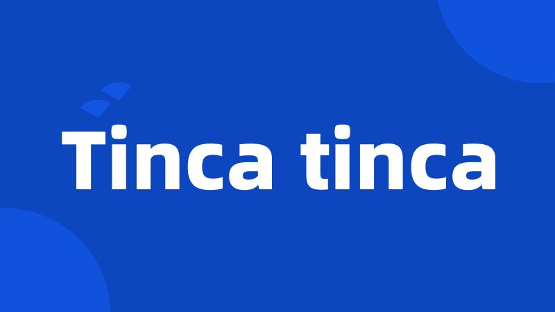 Tinca tinca