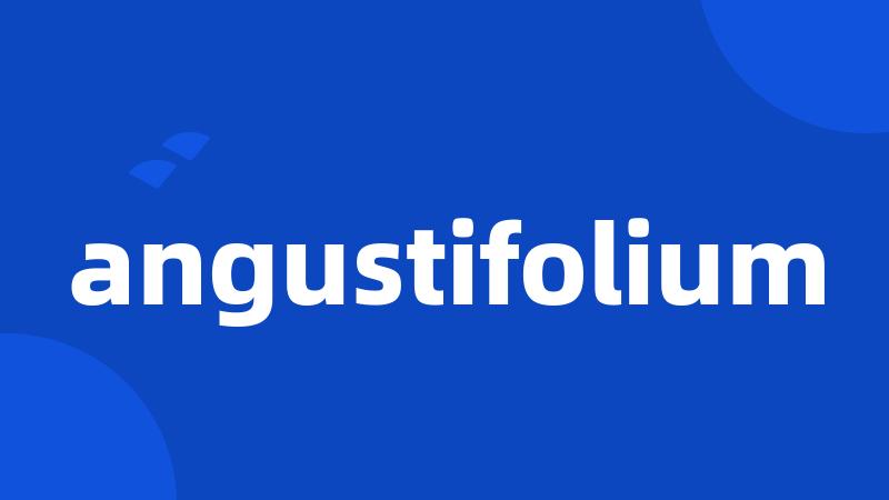 angustifolium