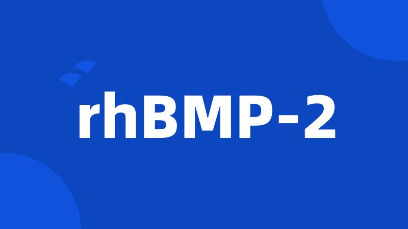 rhBMP-2