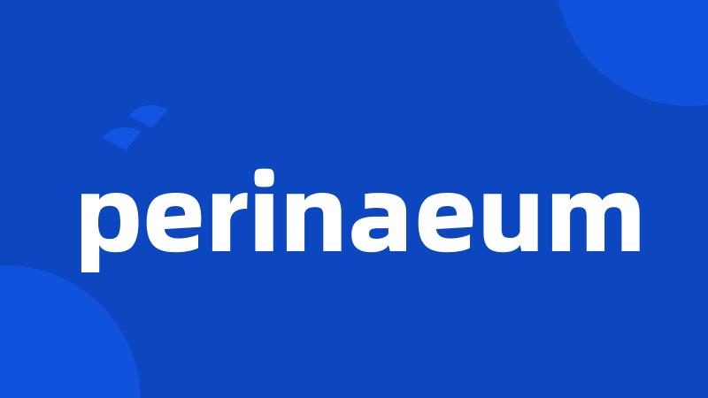 perinaeum