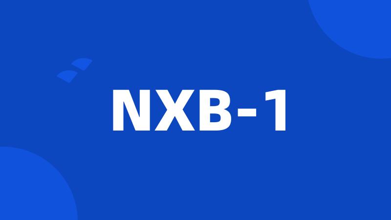 NXB-1