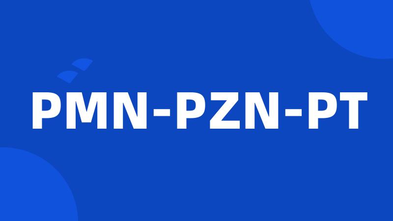 PMN-PZN-PT