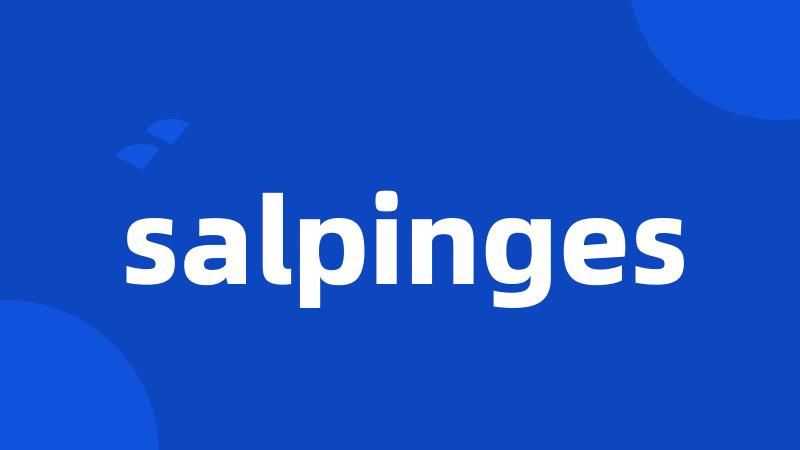 salpinges