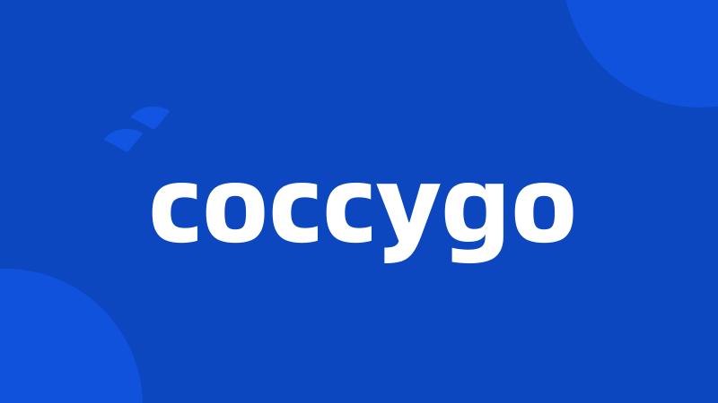 coccygo