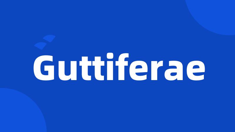 Guttiferae