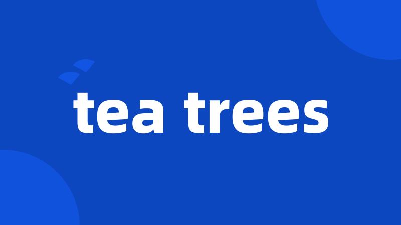 tea trees