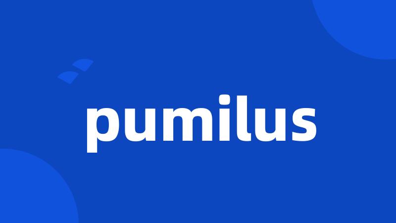 pumilus