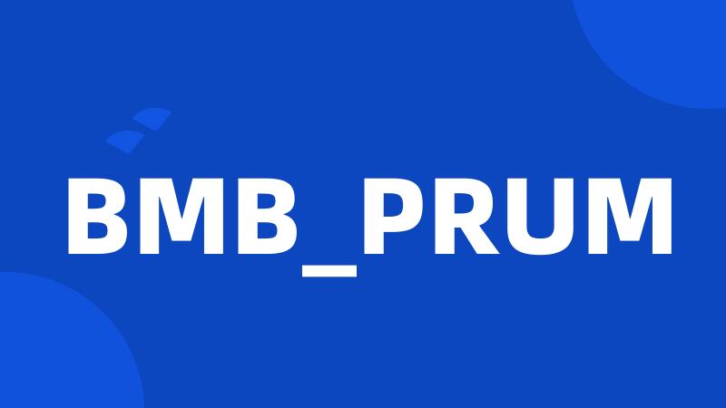 BMB_PRUM