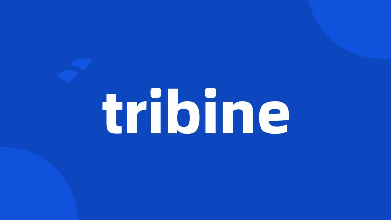 tribine