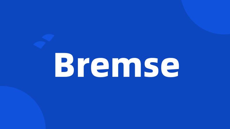 Bremse