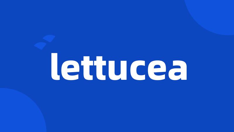 lettucea