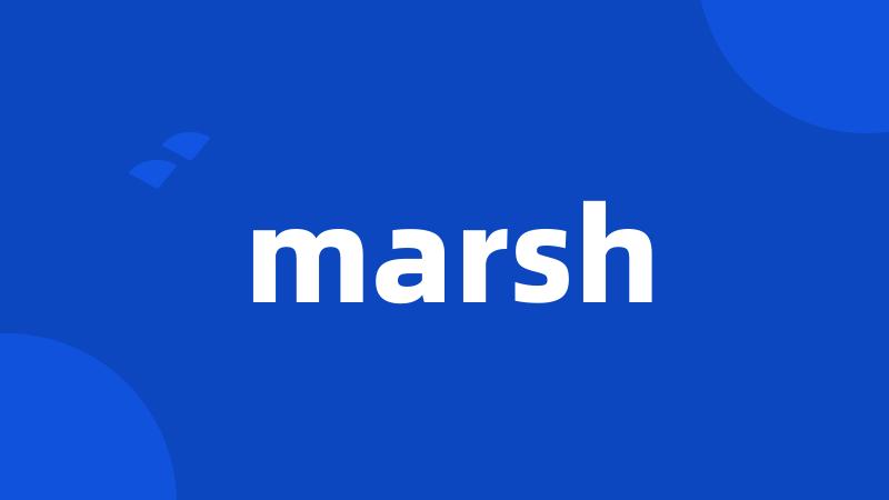 marsh