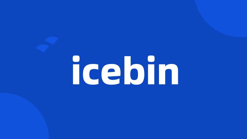 icebin