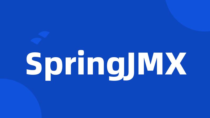 SpringJMX